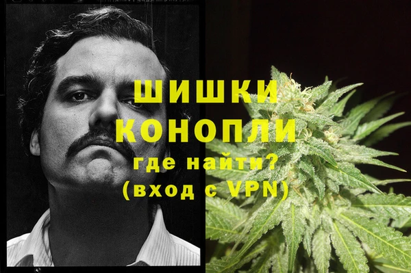 дживик Богданович