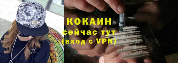 дживик Богданович