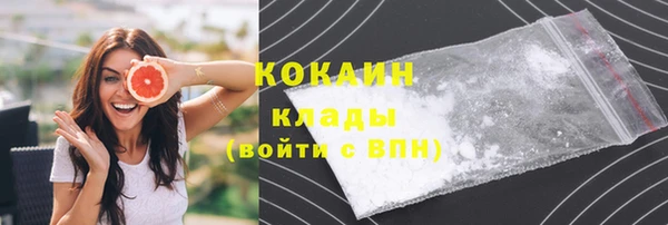 дживик Богданович