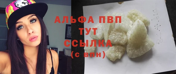 дживик Богданович