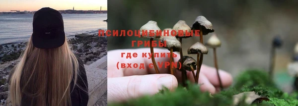 мяу мяу мука Богородск