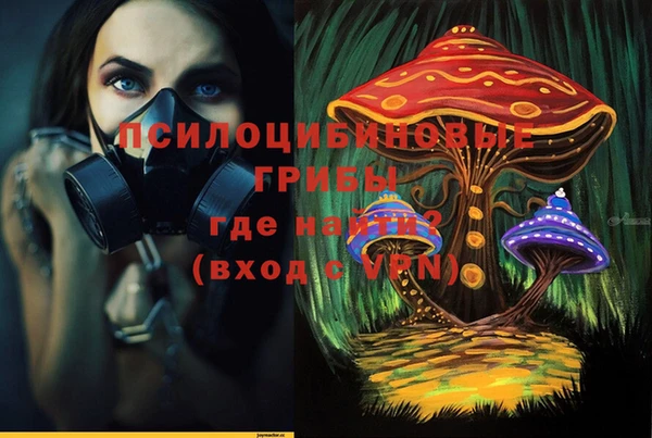 mdma Богородицк
