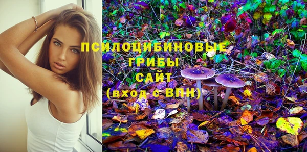 дживик Богданович