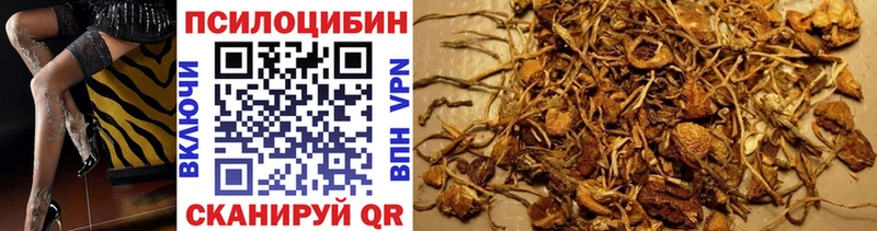 Галлюциногенные грибы ЛСД  Купить закладки  Ртищево 
